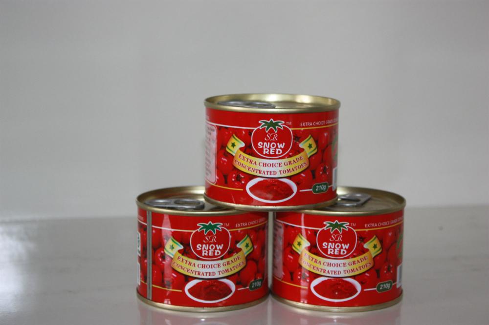 Tomatenmark 210 g×48 - EO/HO - Tomatenmark1-23