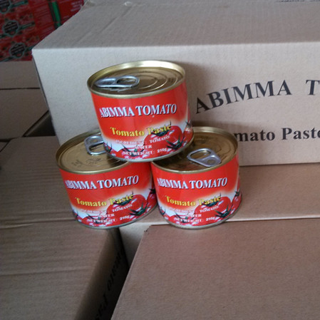 Tomatenpaste 210 g x 48 CTN - Easy Open Lid - Tomatenpaste1-24