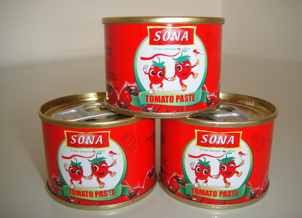Tomatenmark 70 g x 50 - Harter offener Deckel - Tomatenmark1-4